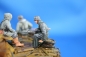 Preview: NW 039 german soldier in greycoat with MG 42 sitting on a tank